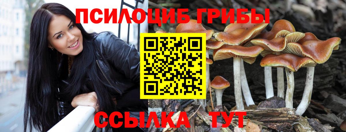Псилоцибиновые грибы мухоморы Ишим